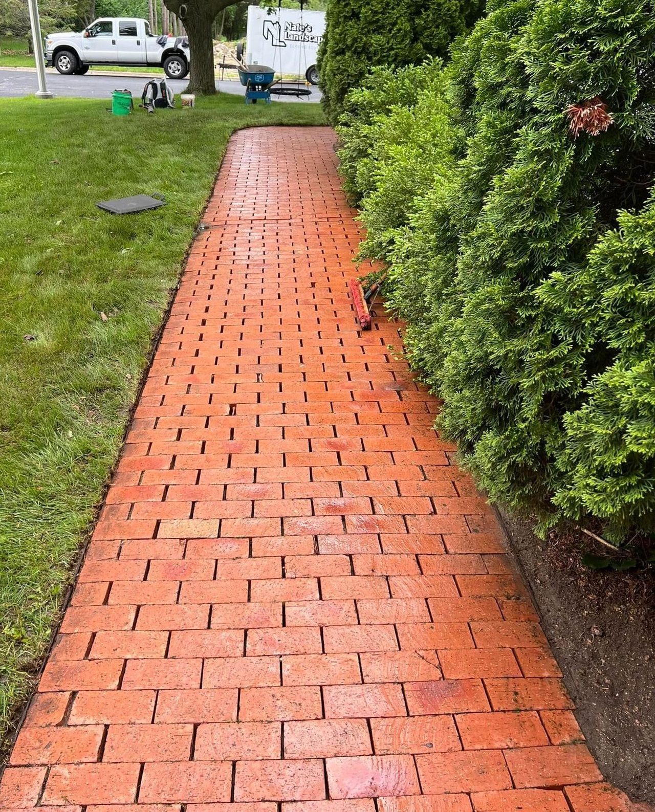 After: the same brick walkway cleaned and restored alongside trimmed arborvitae