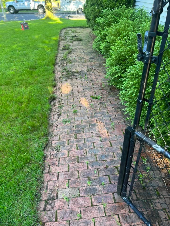 Before: brick walkway overgrown with weeds and moss between the joints