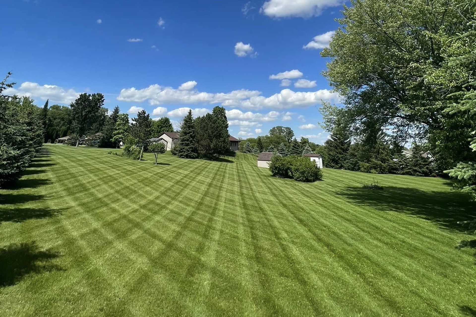 Freshly mowed lawn with clean alternating stripes in front of a home